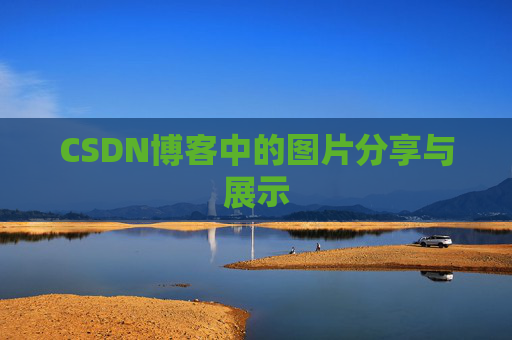 CSDN博客中的图片分享与展示